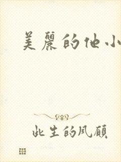 美丽的他小说封面