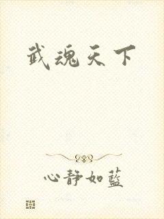 武魂天下