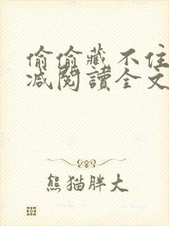 偷偷藏不住无删减阅读全文