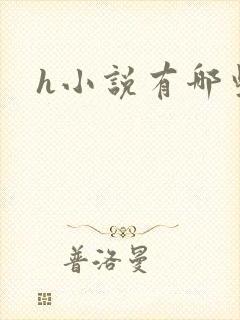 h小说有哪些封面