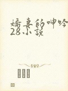 娇妻的呻吟1—28小说