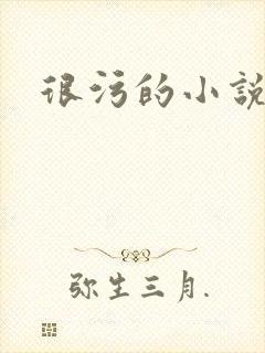 很污的小说