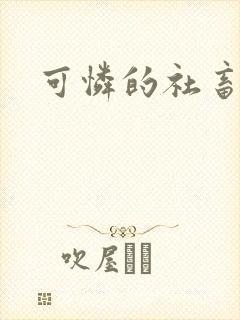 可怜的社畜小说