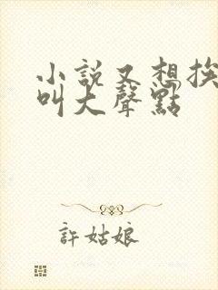 小说又想挨C了叫大声点封面