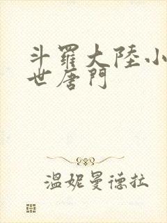 斗罗大陆小说绝世唐门封面