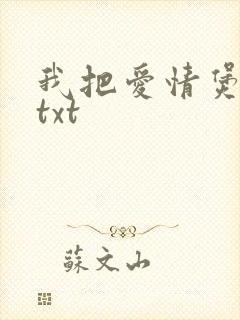 我把爱情煲成汤txt