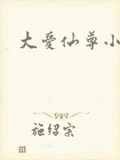 大爱仙尊小说封面