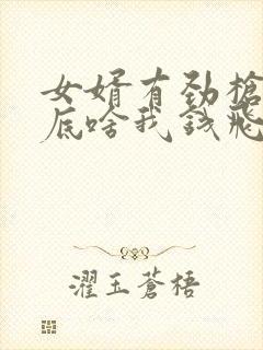 女婿有劲枪枪到底啥我钱飞了