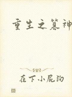 重生之篡神