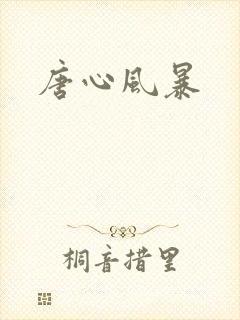 唐心风暴