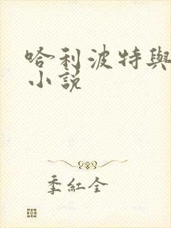 哈利波特与密室小说