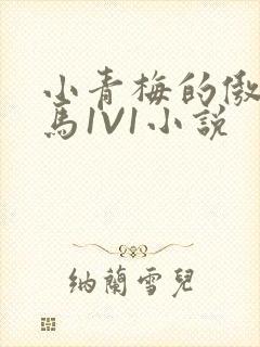 小青梅的傲娇竹马1V1小说