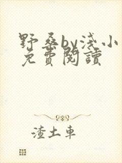 野桑by浅小说免费阅读