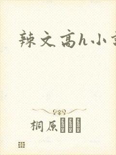 辣文高h小说封面