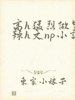 高h猛烈做哭高辣h文np小说封面