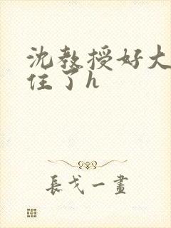 沈教授好大含不住了h