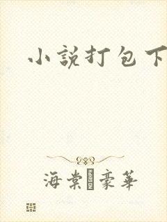 小说打包下载
