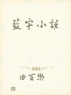 蓝宇小说