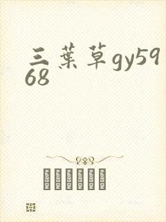 三叶草gy5968封面