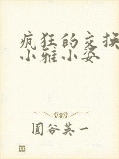 疯狂的交换小静小雅小姿封面