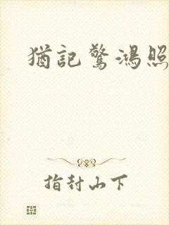 犹记惊鸿照影封面