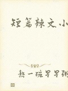 短篇辣文小说