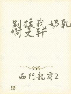 别揉我奶乳嗯～啊文轩封面