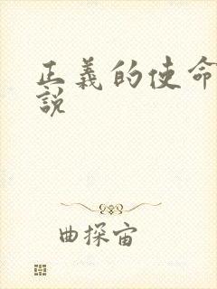 正义的使命 小说