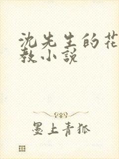 沈先生的花式调教小说