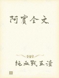 阿宾全文封面