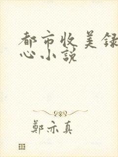 都市收美录宁素心小说封面