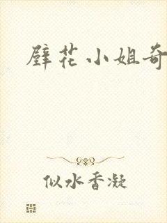 壁花小姐奇遇记封面