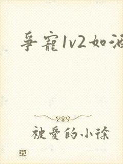争宠1v2如酒封面