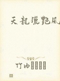 天龙猎艳风流