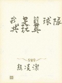 我是篮球队的公共玩具封面