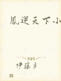 凤逆天下小说
