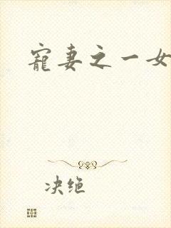 宠妻之一女二夫