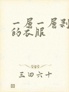一层一层剥开我的衣服