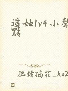 追她1v4小声点