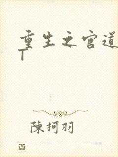 重生之官道TXT