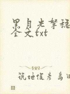 黑月光拿稳小说全文txt