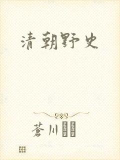 清朝野史封面