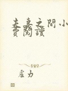 夫妻之间小说免费阅读封面