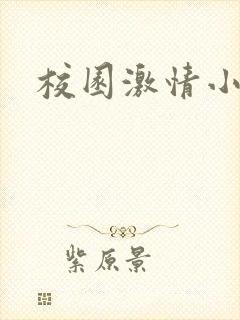 校园激情小说封面