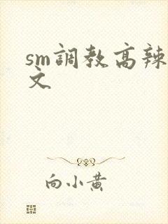 sm调教高辣h文