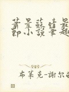 萧晨苏晴最新章节小说笔趣阁