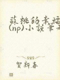 苏桃的幸福生活(np)小说笔趣阁沐沐