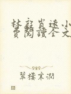 林毅肖远小说免费阅读全文最新章节封面