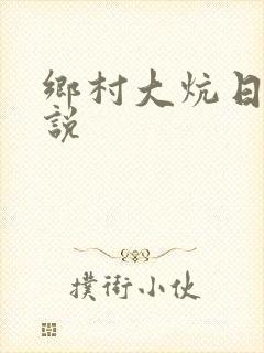 乡村大炕日b小说封面