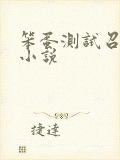 笨蛋测试召唤兽小说